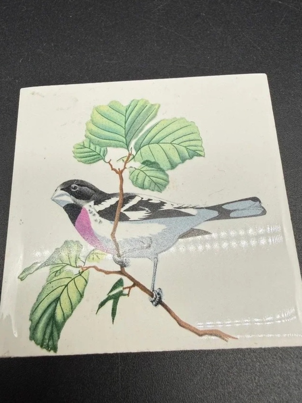 Decorative Bird Ceramic Tile with Pink Accent